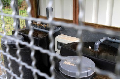 IMG_6449 (Aangepast).JPG